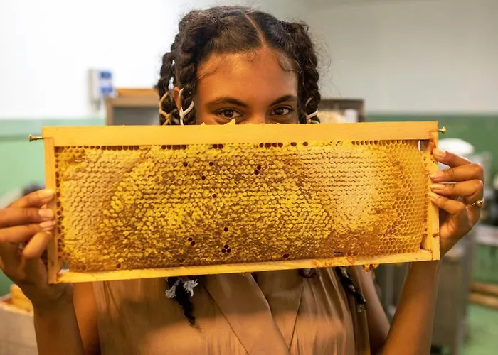 فندق Greet كولمار