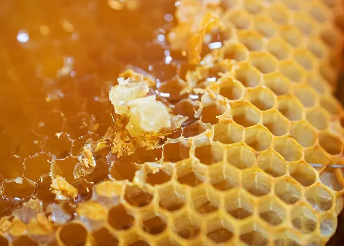 Greet Готель 3*