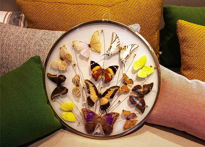 Greet 3* Кольмар